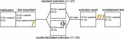 A Preliminary Test of Novelty-Facilitated Extinction in Individuals With Pathological Anxiety